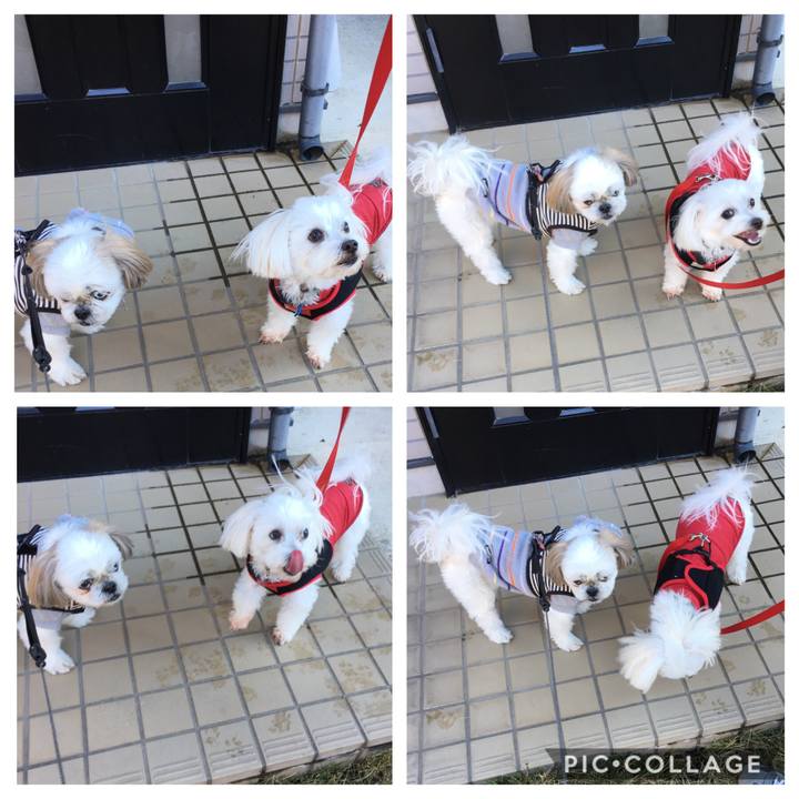 7eda264b eb62 4ac3 9fd0 da89675a4d24 1545613641167