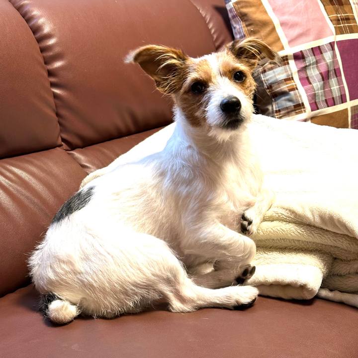 7eda3cf1 0dfe 49b3 bdf1 f6667c1487f6 1762647966484