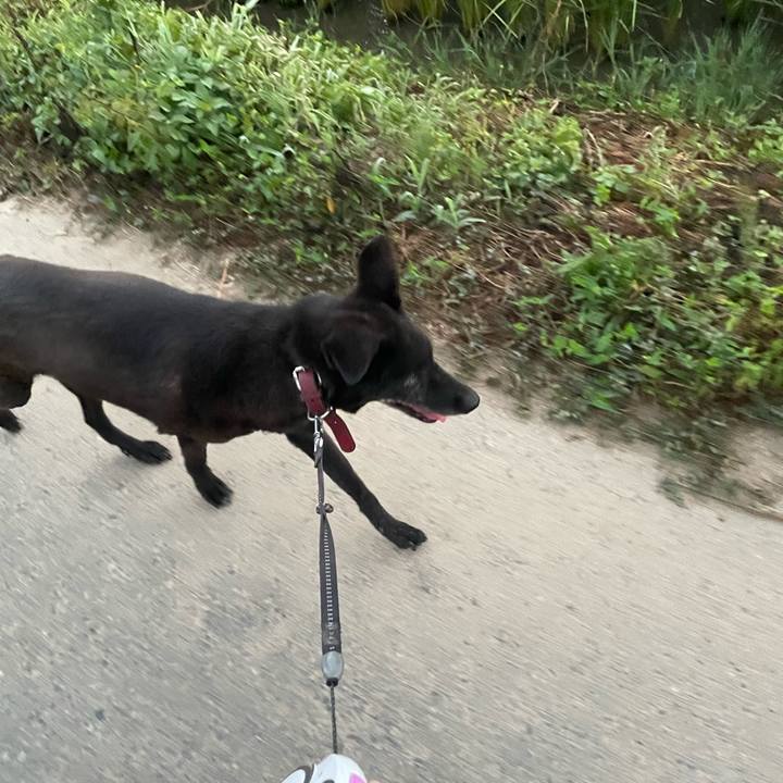 7eda70ef c294 4553 b8fd ce75f120efca 1691698655943