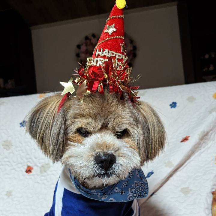 7eda82e1 f927 4e39 b935 bcdcab71f16c 1703104696497