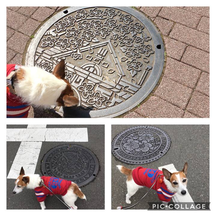 7edac94b 593d 400c 8f38 e19256e1f138 1586749095012