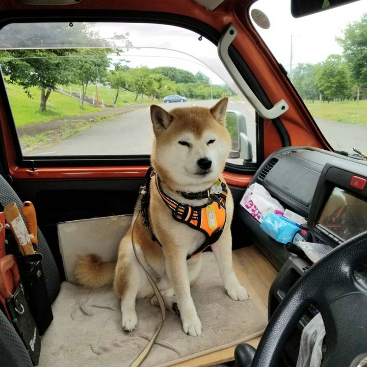 7edaf511 264d 46ed 8543 490498c18109 1654763036139