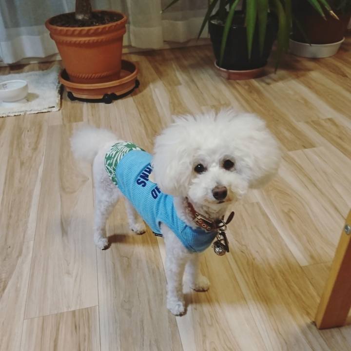 7edaf667 0185 4b04 97f1 a0fc12778d8e 1533285664956