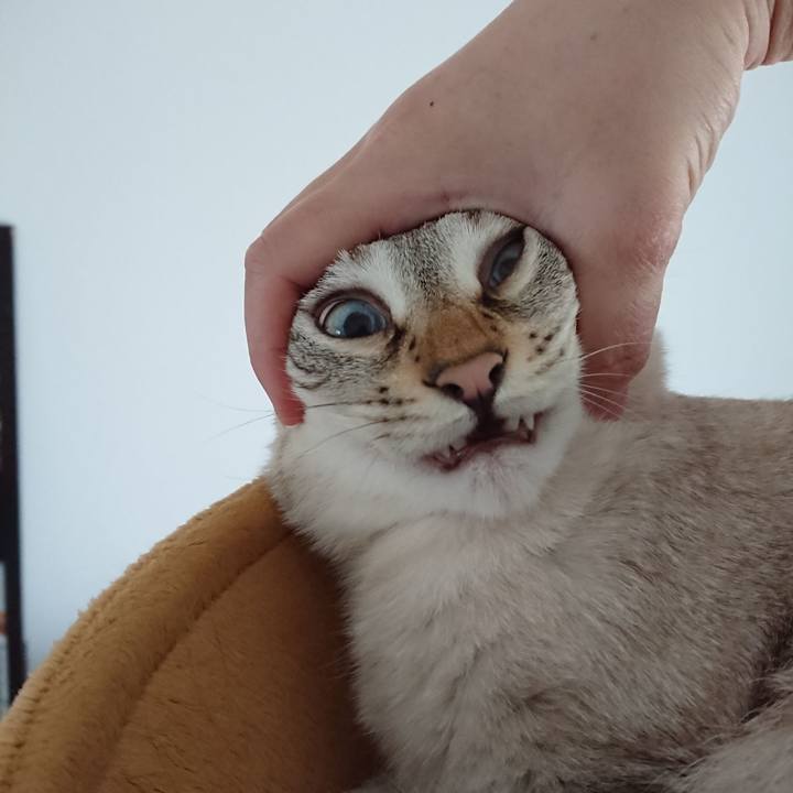 7edb0ba3 6d86 4067 bcad ecddc8560525 1526782590657