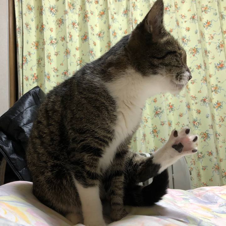 7edb21e5 3ae8 4bcc 8bfb 4577cfa0c911 1616497783925