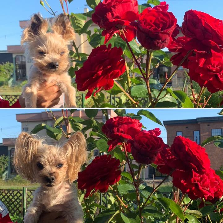 7edb48fc 8841 457e a5d0 6d59f356a81b 1720087170789