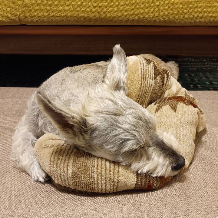 7edb6e64 d4c9 4cdd ae20 4d88264abae6 1772454813722