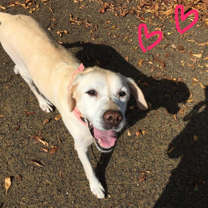 7edb78e4 4381 4cb1 a240 d15fe86af375 1508857170174