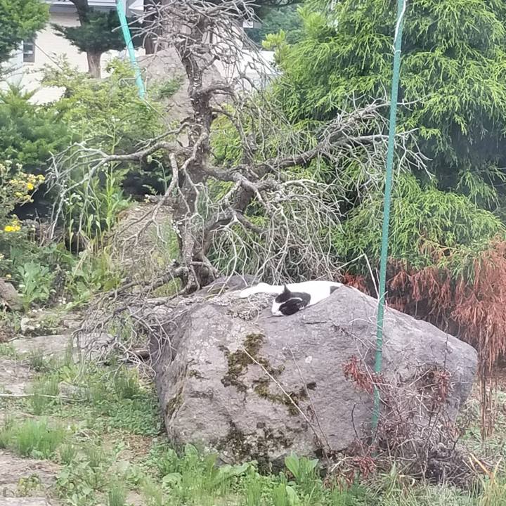 7edb8f97 68aa 46f4 8bce 10b11267a6f5 1563956418436