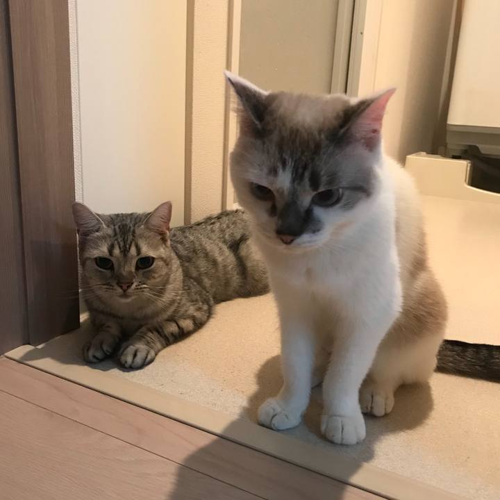 7edb97f9 e909 4970 9d38 669594ed322b 1539077945433