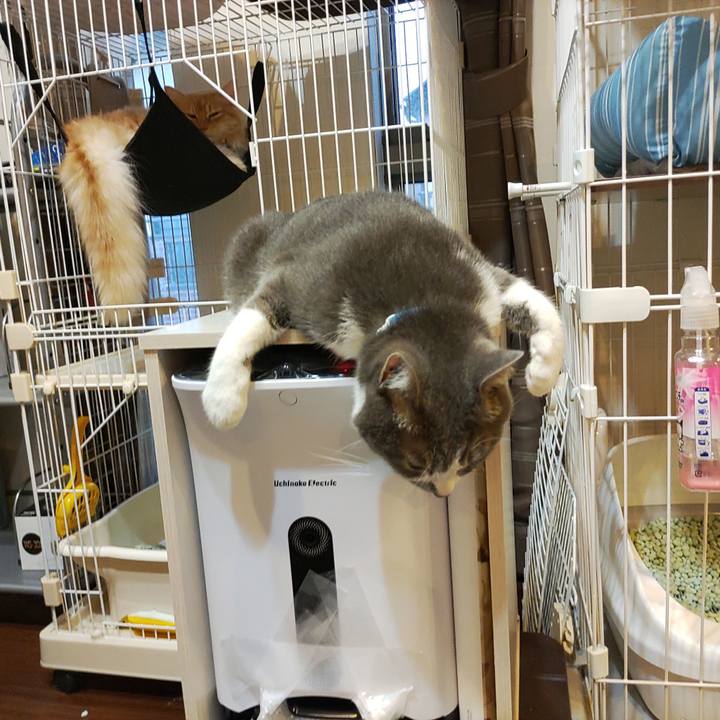 7edba1d1 9555 4f1a a48a 3f156de7f223 1658138041508