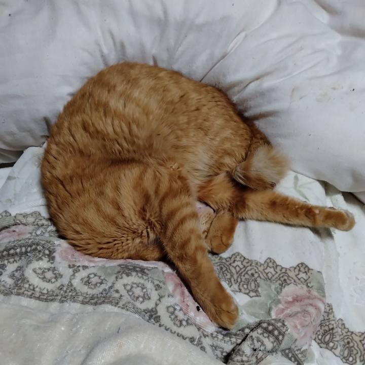 7edbab79 a4eb 4838 aa32 f1d444cb2c94 1700136961603