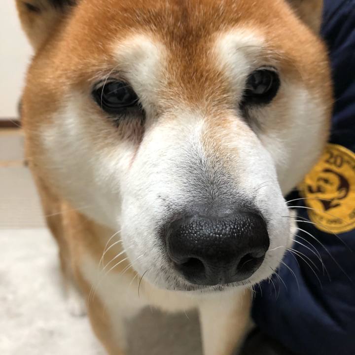 7edbfe7f 5ecb 4ccc 98d9 ea52a909eac5 1551621229093