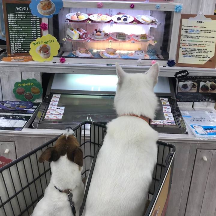 7edc1148 ab7a 4c2f b508 f0c6fa2f3e6c 1530359600680