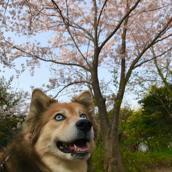 7edc2622 5db5 415e 903a 810759ee58f0 1554637021835