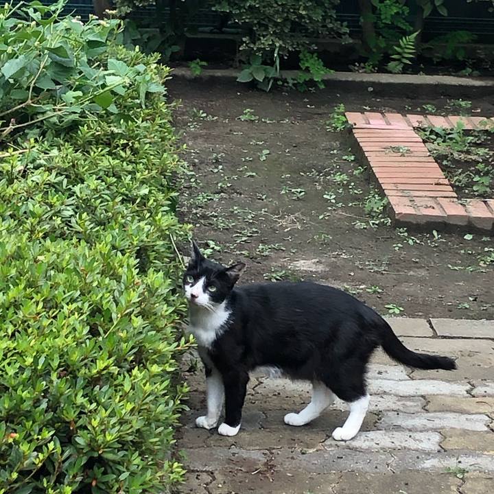 7edc4330 c235 4457 b836 2d0526117d0a 1567174198316