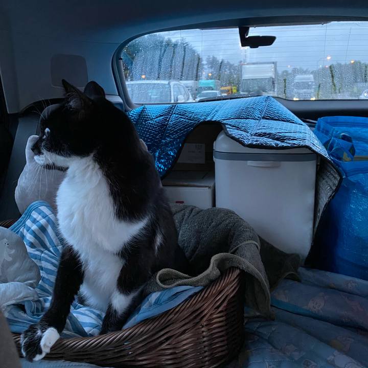 7edc9d2f 96cb 45f9 9144 79d0a43ace0d 1661074055097