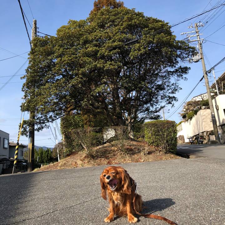 7edcb1ba 5d48 47e7 8e3a e958a2350765 1614387629356