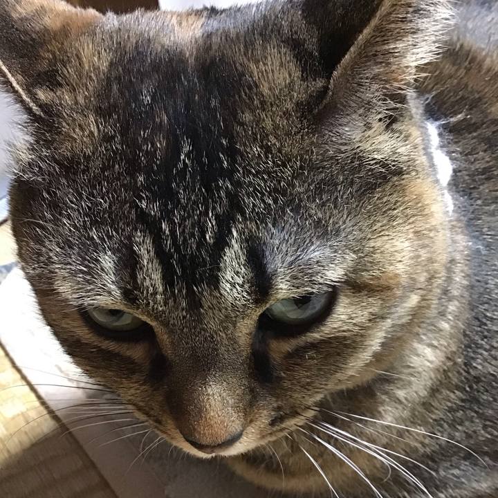 7edcb7dd 0dd6 47b7 b476 674213e485f1 1739790305090