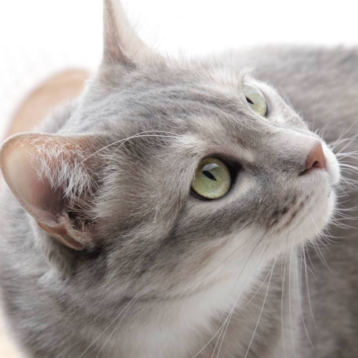 7edce2d3 7a29 4c13 812a bedc805722ce 1618734797237