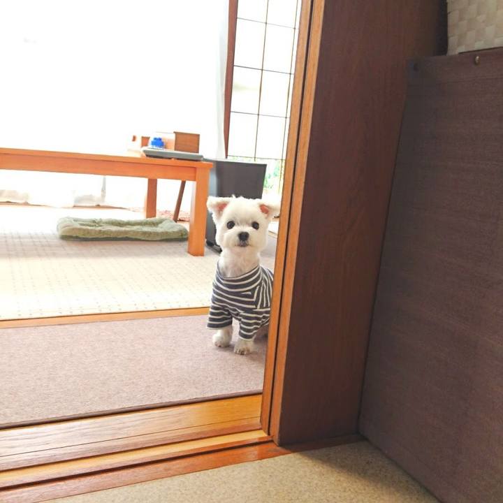 7edce30a 7668 41c4 a7a1 dedeb572188c 1524444467166