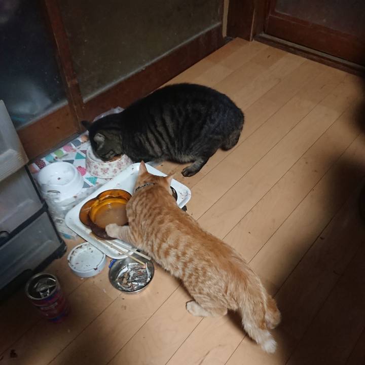 7edd4c99 8786 48be 85e9 8eb0bbc94dcd 1637011827068