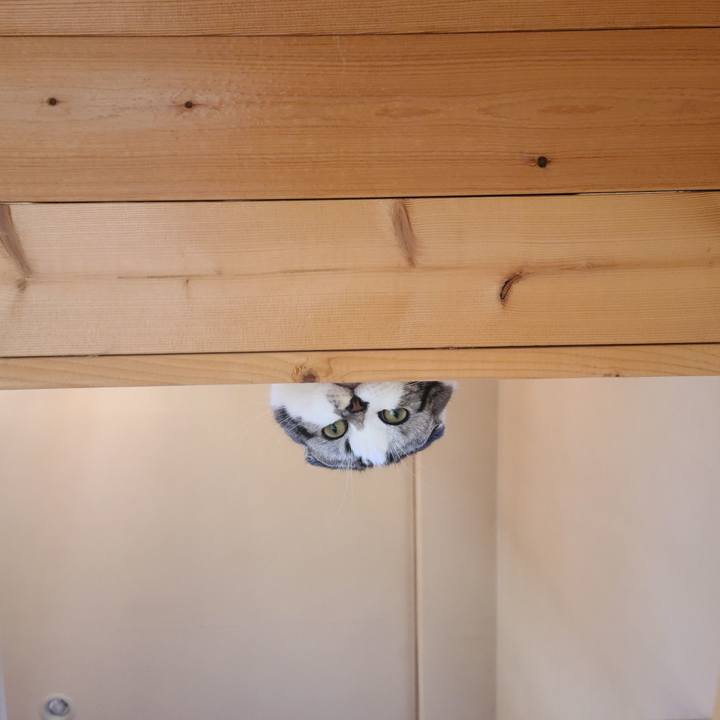 7edd7b26 483f 485e ad09 79792b45d3d5 1644191267001