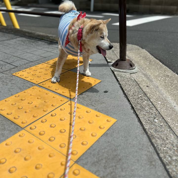 7eddbf69 0584 476d a9a5 9366178bcf0e 1747883822487