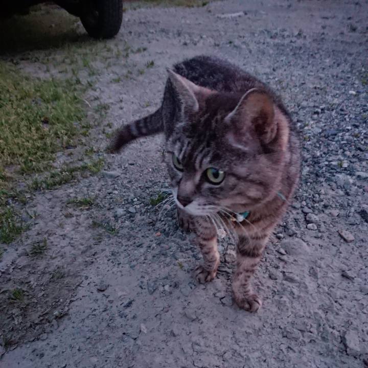 7ede280e ced9 4f41 9de0 d6c031dc3513 1558606788558