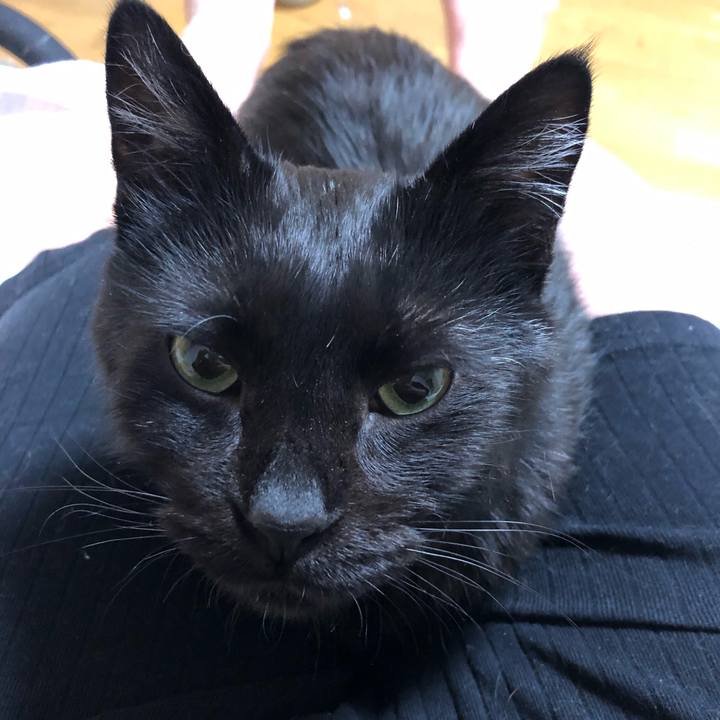 7ede6e52 5398 47f5 98ee 6be16f8dba2c 1587735094115