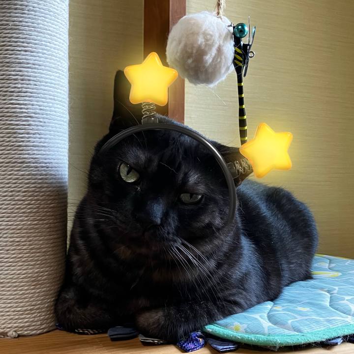 7ede9567 9b91 4c2c baf7 cae25820554a 1751929723154