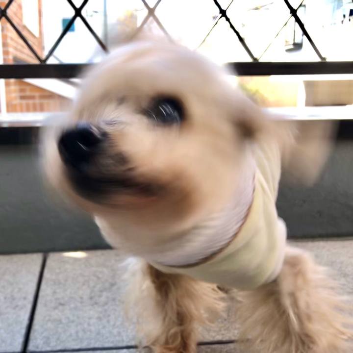 7edeaeb6 a903 41dd 9e63 d0183c0e4aee 1586829101177