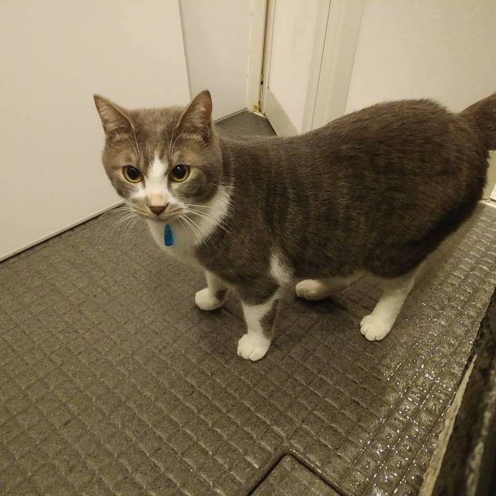 7edeb346 7254 476e b8a4 49039e7ef8b9 1612302122966