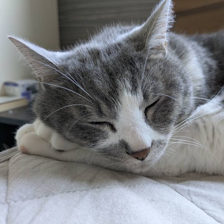 7edeb4e0 d6c7 4ceb 9cbd 89a865d528ff 1753748058084