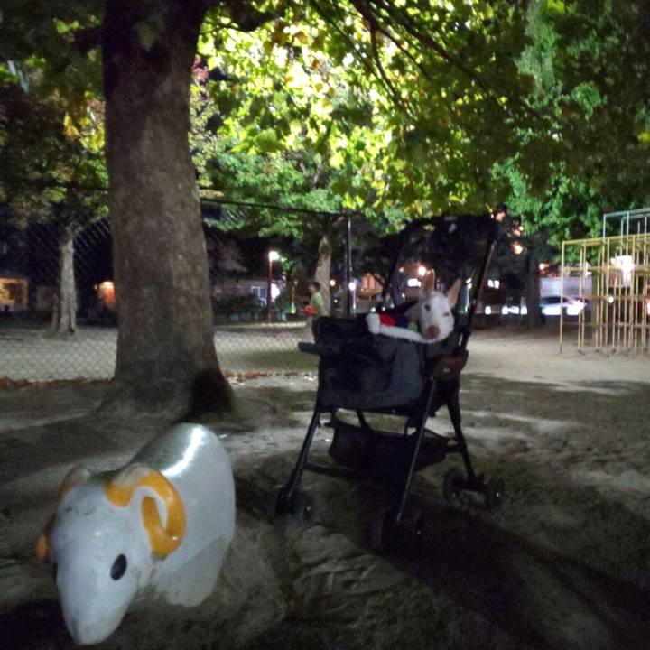 7edebc8a 3e5f 45aa b6fa 51368fc4824b 1603790702152