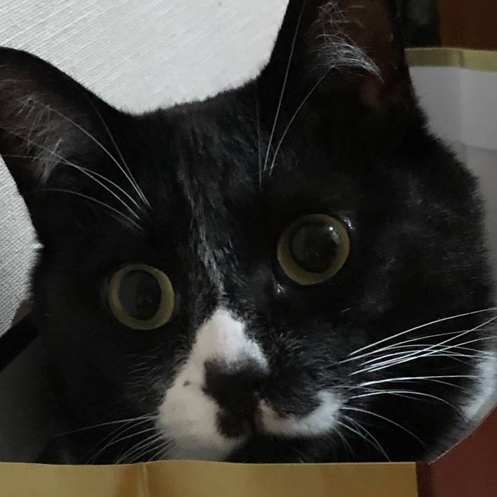 7edecf4f a405 4dbb bd0f bb72cf4148b9 1656732621375