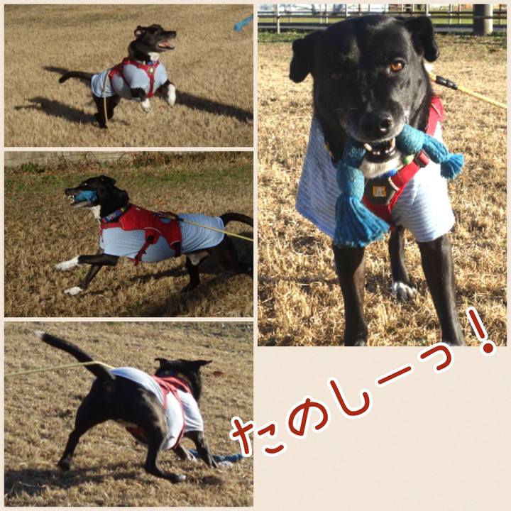 7eded891 dc87 497f 8a1e 2f474492df64 1671153464542