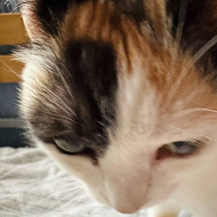 7edf0a9f d4cb 4e48 88a5 19e77290afc8 1689993912761