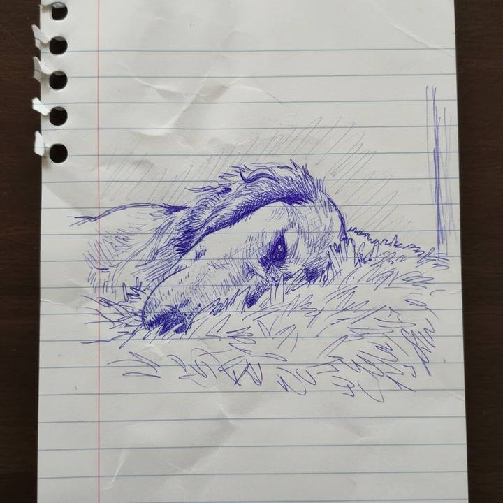 7edf4b99 0ae0 4098 9f28 79ffc4c1bcd1 1768099096573