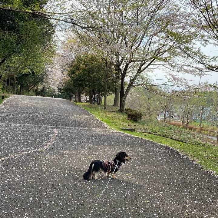 7edf85a5 4f52 4e51 9d83 72489e7c9945 1744271365714