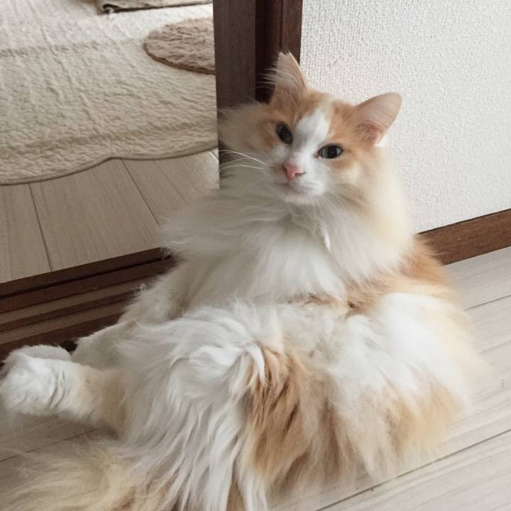 7edf87f9 f0de 4c0d b74f bc6cf6988b34 1555192592380