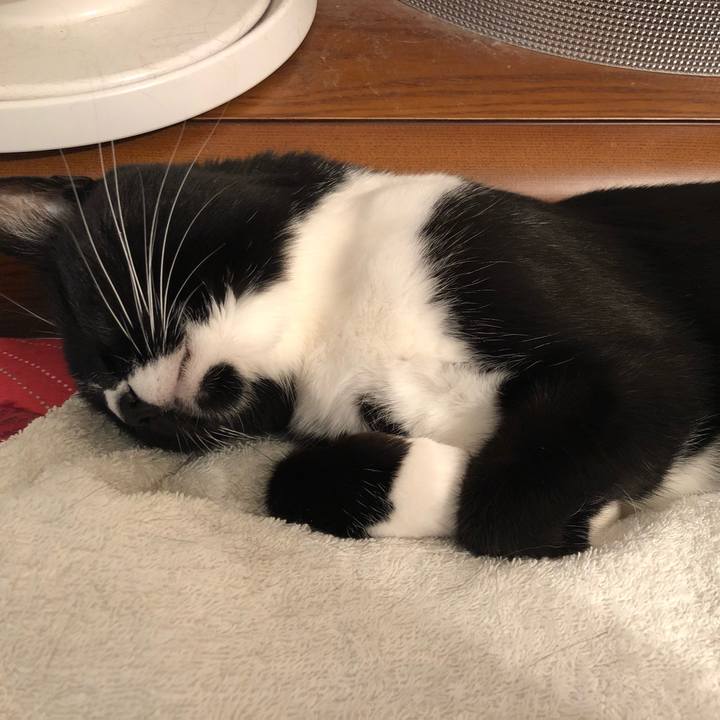 7edfa29a 21ca 41f6 811b 5e9c4212ab4b 1562624322971