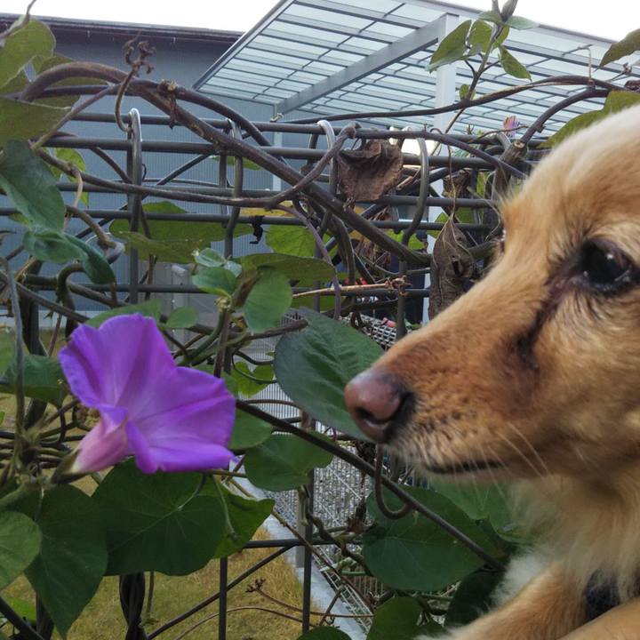 7edfac67 0a5a 4efe a3ca a24e72dad988 1606947457274