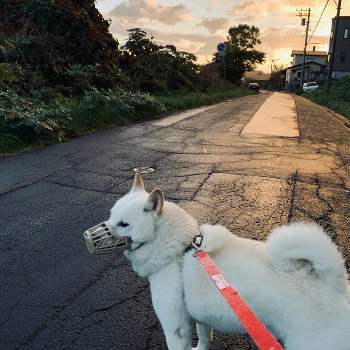 7edffcc9 91ec 435f b585 51f9f6d2cb19 1602105710446