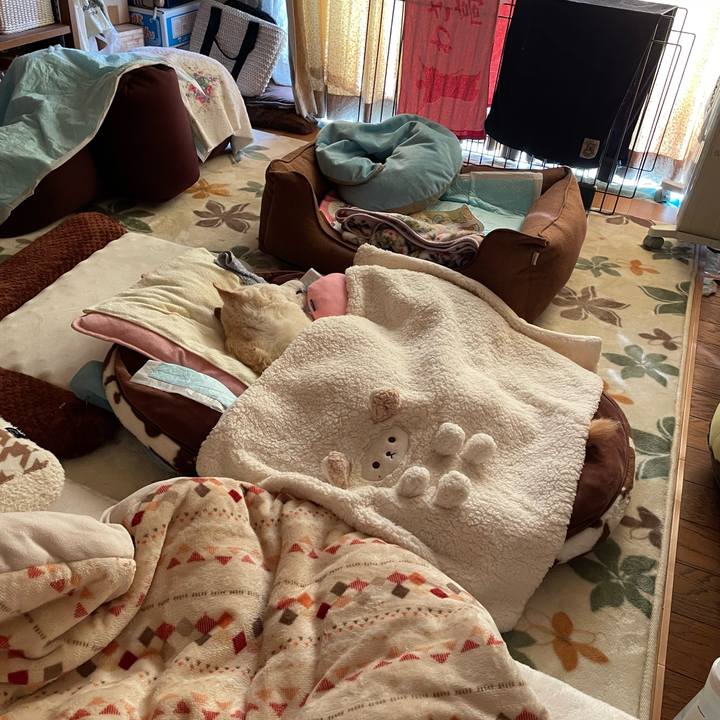 7ee0043c 96a1 480a aff4 f575ba9b008c 1678408143509