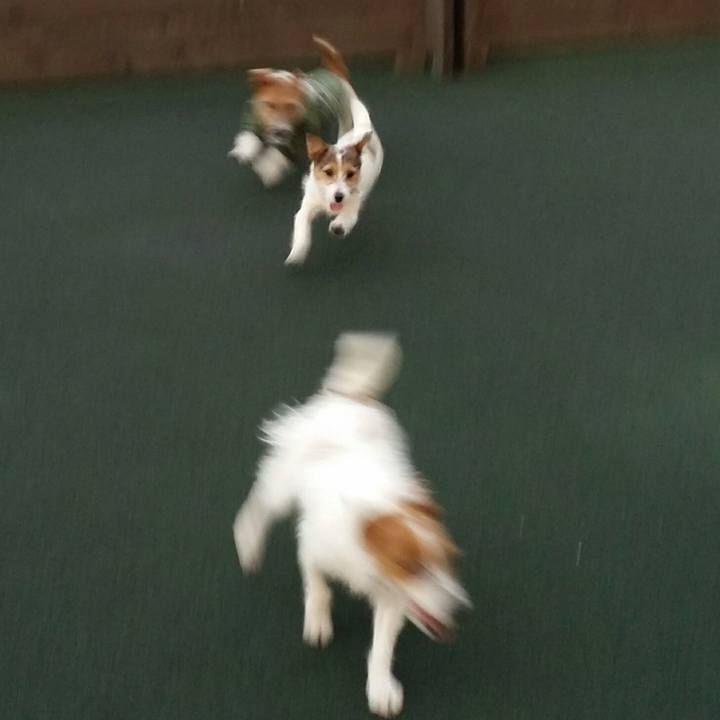 7ee05e69 23b5 4967 9157 38e370fe5508 1513435357839