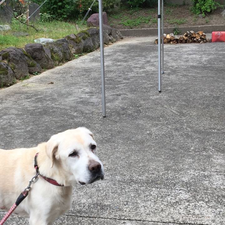 7ee06080 c530 479a 94dc 922527196437 1528249986808