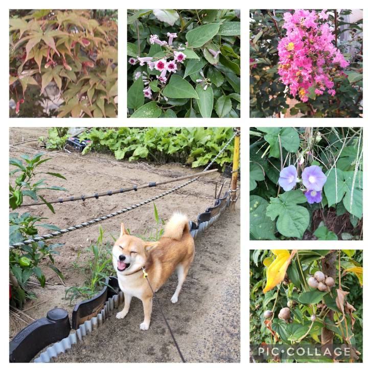 7ee07cc6 4da3 4831 ad12 3f16d9a927b5 1694299259904