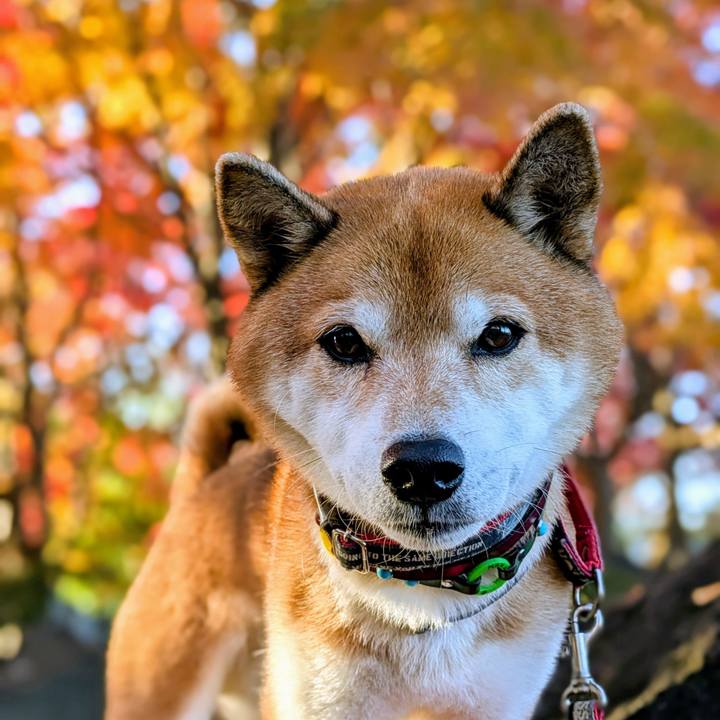 7ee0ffc5 6b8a 45a3 85e2 dec0d05bb7e0 1764288374029