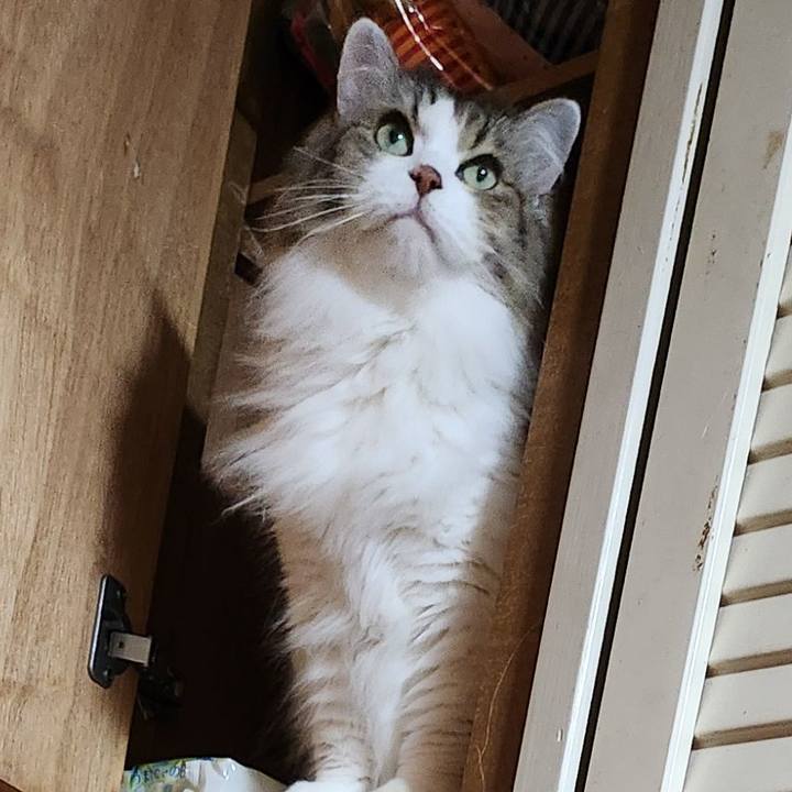 7ee11aa8 f17e 4436 b985 a6acf062ce22 1763783944005